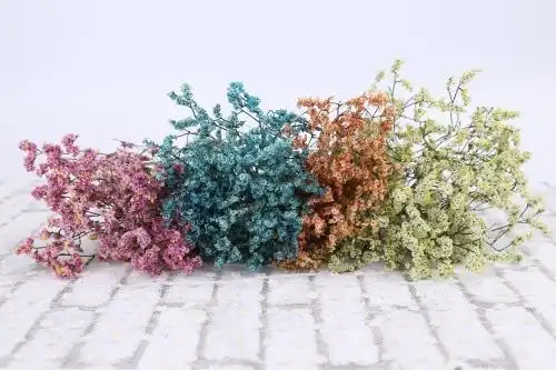 水晶草干花 鲜花 干花