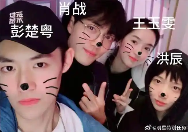 肖战彭楚粤王玉雯洪辰同框照