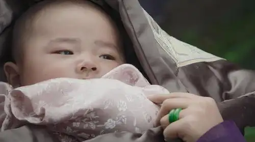 饰清乾隆帝第八子和硕仪亲王爱新觉罗·永璇(1746-1832)