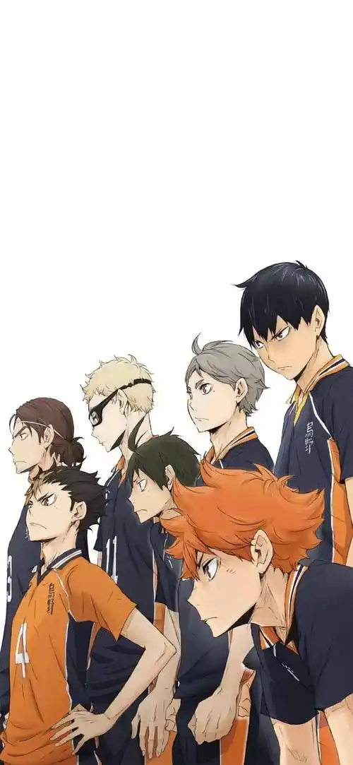 壁纸排球少年乌鸦也能腾空