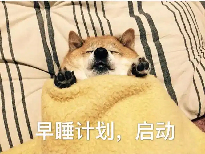 早睡计划,启动(doge躺床上盖被子睡觉)