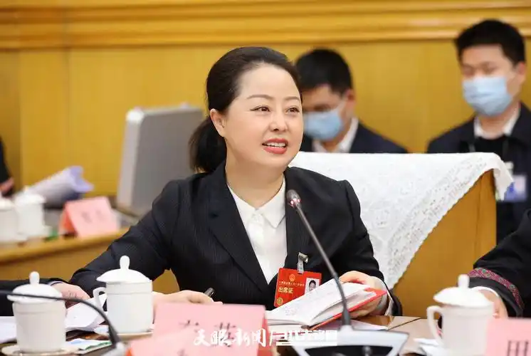 两会云连线李英代表汇聚党员力量激活社区治理新活力