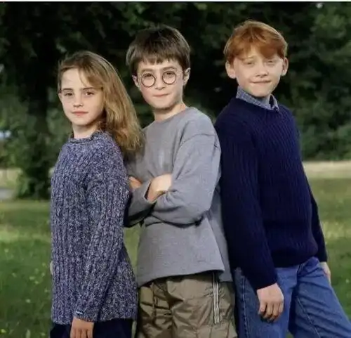 哈利波特三人照 - 搜狗图片搜索