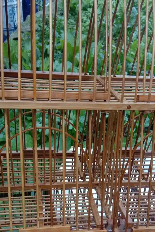 京东推荐鸟笼子踏笼黄豆绣眼贵州凯里鸟笼老竹制定制咖啡色带笼衣带杯