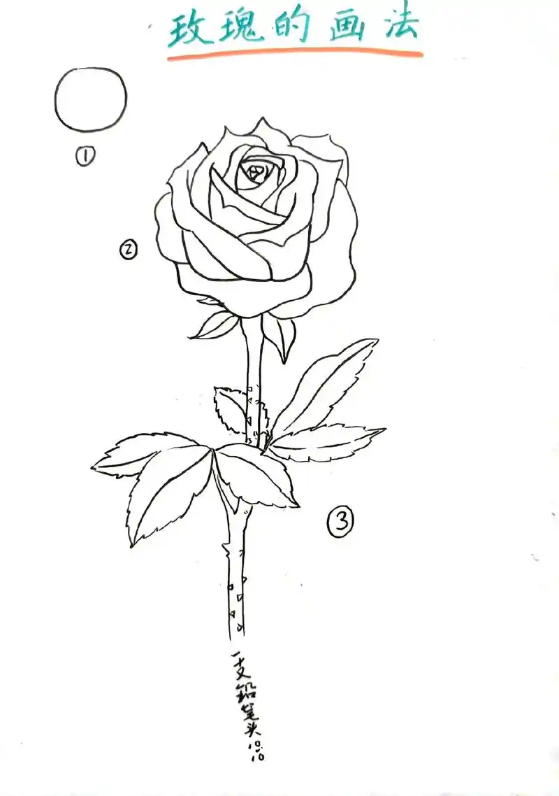 玫瑰花教程 1.首先,画一个梨形的花苞 - 抖音