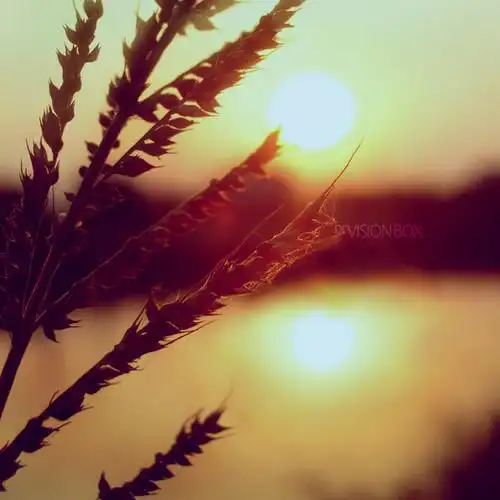 查看《逃离城市在稻香里在星空下感受幸福》原图,原图尺寸:600x600