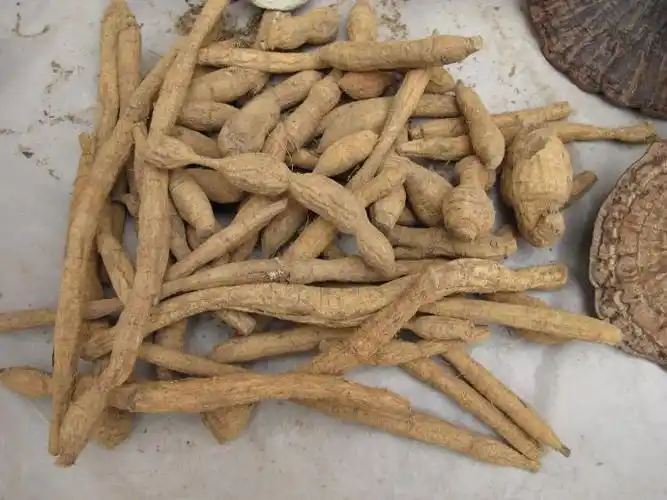 牛大力有什么功效作用?