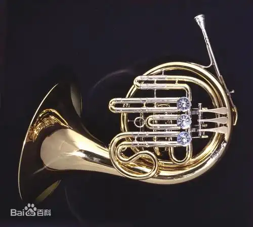 常用西洋乐器一览