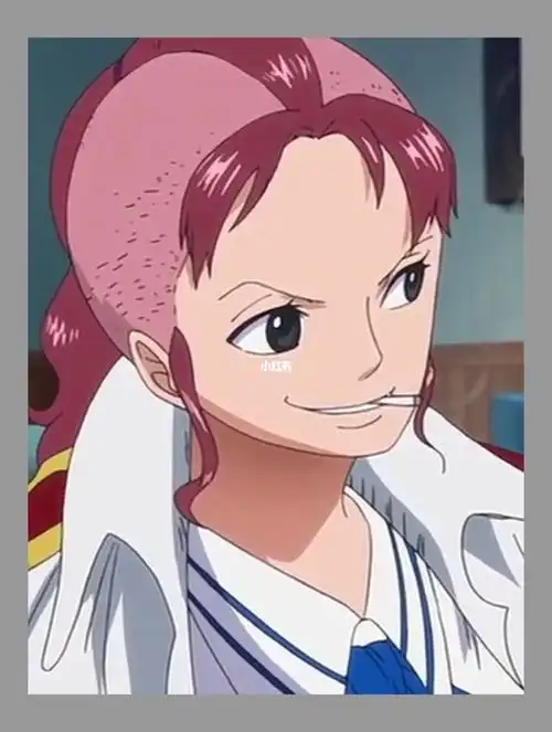 海贼王贝鲁梅尔