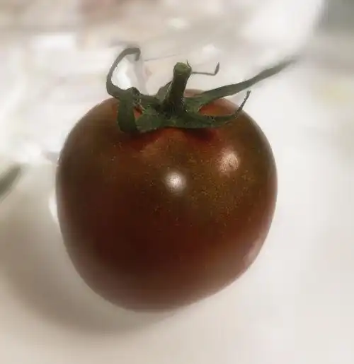 老番茄的本体——— 黑心番茄! (不知道为什么看起来好绿)