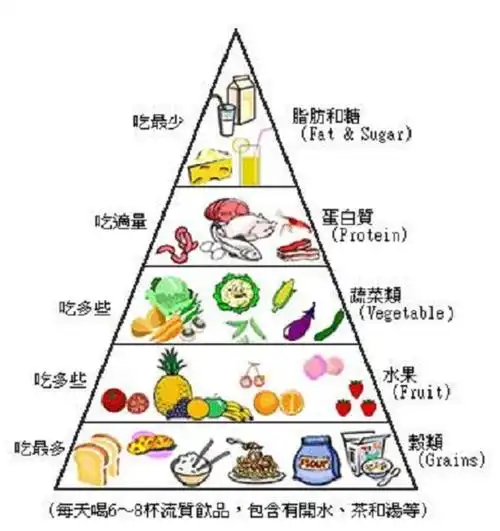 健康膳食金字塔_膳食金字塔2016_膳食金字塔的绘本故事