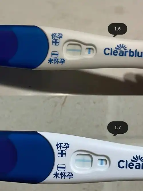 排卵第十二天可丽蓝加深一点点