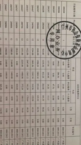 社保的缴费明细表怎么看啊,通俗一点的