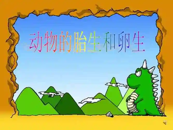 幼儿园中班科学动物的胎生和卵生ppt课件ppt