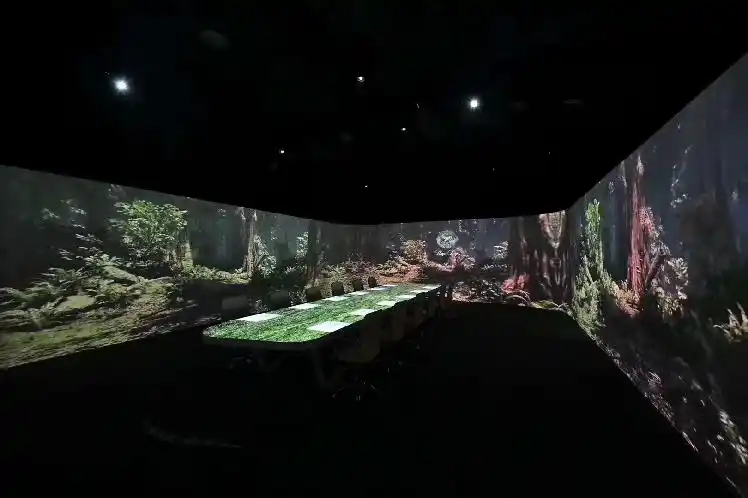 沉浸式投影秀-舞台灯光设备租赁_舞美音响背景租赁_舞台搭建led灯租赁