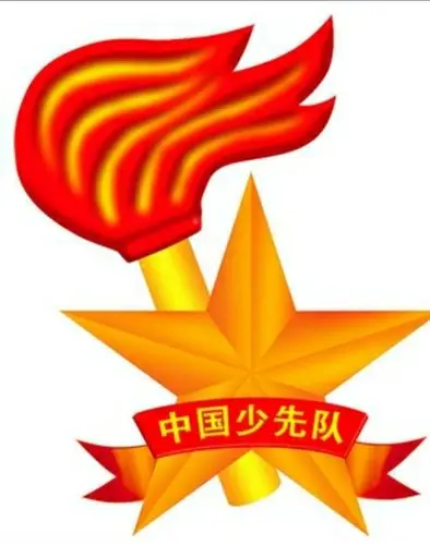 中国少年先锋队武都区五库九年制学校第一次代表大会隆重召开