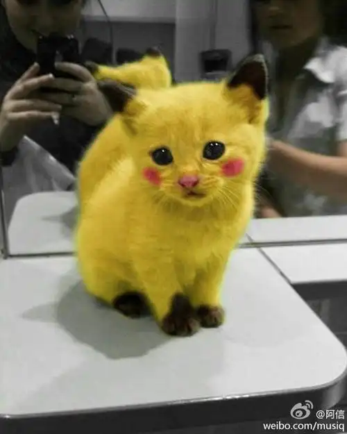真`皮卡丘