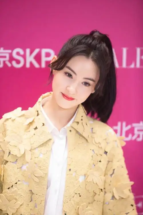 张柏芝个人资料及简历(港星张柏芝)_啊哈生活网