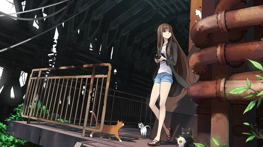 动漫人物动漫女孩自然动物猫animegirlscats壁纸图片