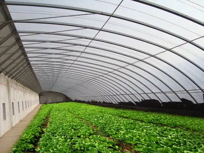 有些连栋温室大棚还可以建设得很高大,那么未来农业蔬菜大棚在朝着
