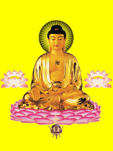 佛动态电脑壁纸大全图片大全下载