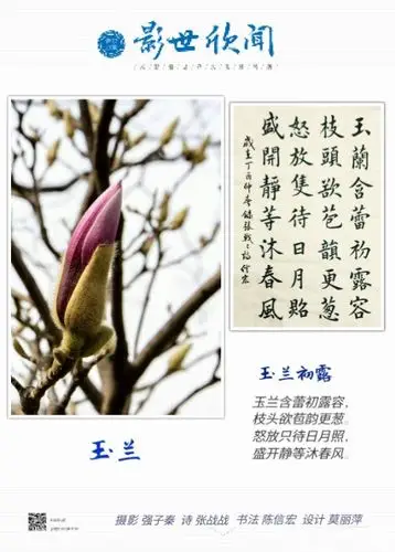 玉兰含蕾初露容,枝头欲苞韵更葱.怒放只待日月照,盛开静等沐春风.