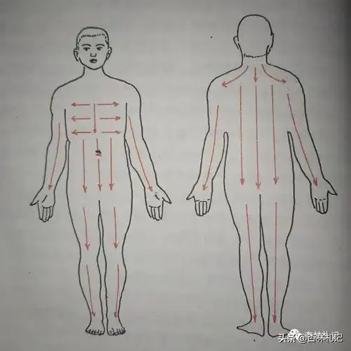 刮痧方向基本是颈,背,腹,上肢,下肢部从上向下刮拭,胸部从内向外刮拭.