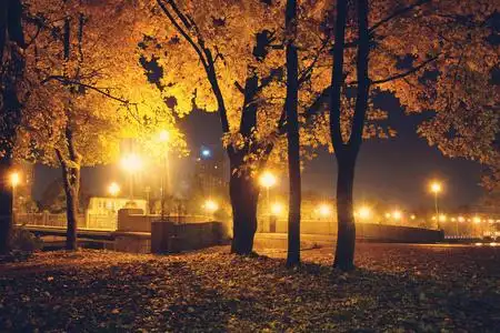 傍晚,在一个被灯笼照亮的秋天的公园里.地上长满了落叶.照片