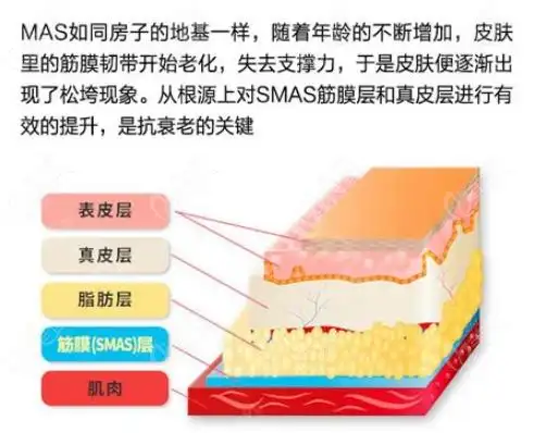 smas筋膜层是什么