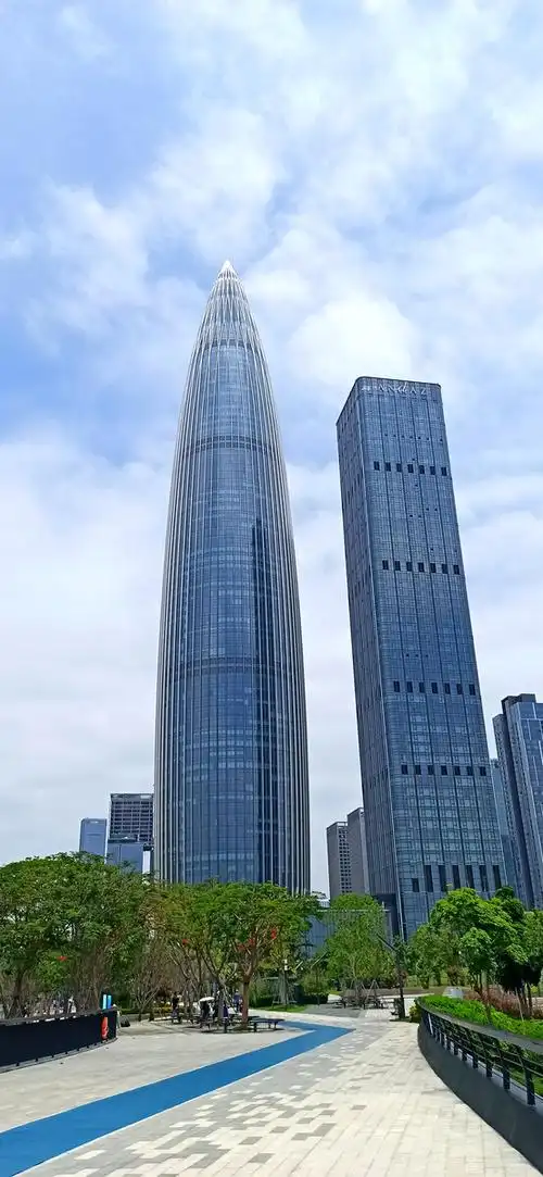 深圳市人才公园.深圳湾公园.春笋大厦.深圳湾夜景. - 王子设计摄影 -