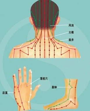 落枕按哪个穴位_百度知道