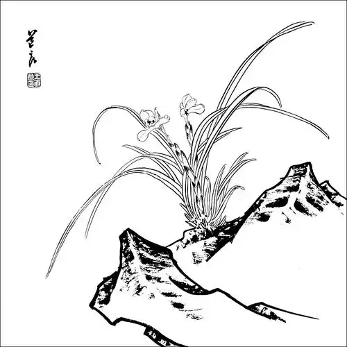 想学好工笔画先从白描开始