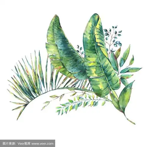 异国情调的自然复古水彩芭蕉叶贺卡