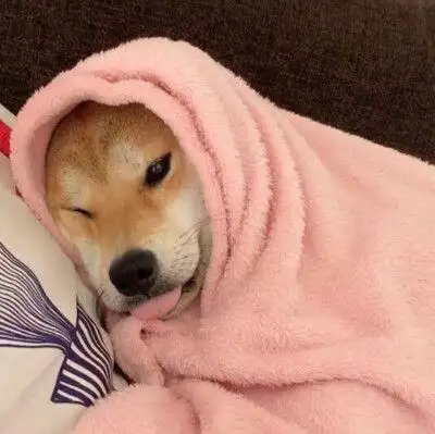 男生用小动物当微信头像 男生头像图片大全 -【爱个性】