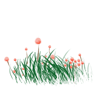 花卉草地图片大全