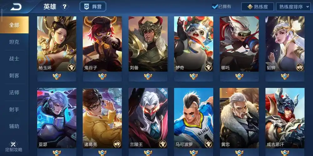 王者荣耀 仓库落灰的皮肤大家打捞吗