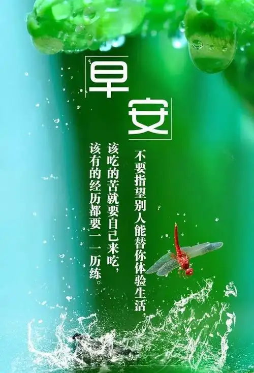 朋友圈温馨早上好问候暖心语录最美冬季早安问候表情图片温馨