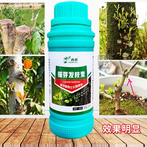 树木催芽剂果树苗木催芽抽枝宝植物花树枝发枝素生长调节剂营养液