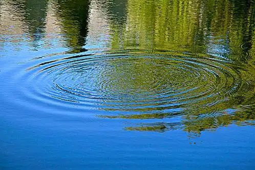 映着柳树的水面上泛起一圈圈波纹