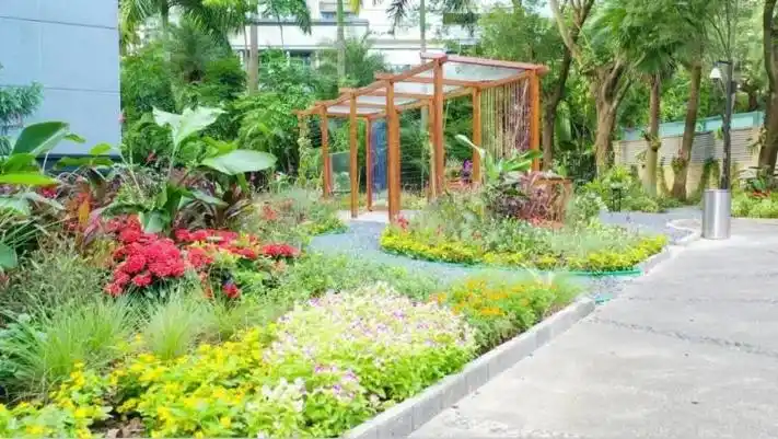 社区共建花园,让深圳居民共享美好"花漾生活"