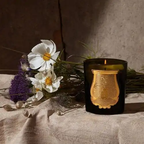 欧洲直邮ciretrudon希拉楚顿香薰蜡烛摩洛哥薄荷香薰蜡烛