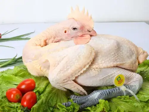 冷鲜鸡产品_岳阳湘佳牧业有限公司-岳阳活鸡品种|岳阳冷鲜家禽|岳阳