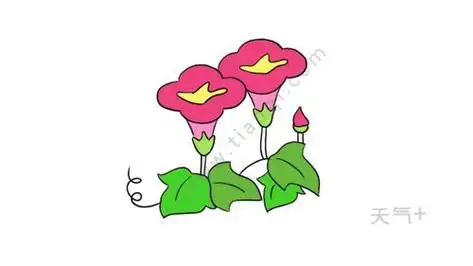 草和花的简笔画彩色