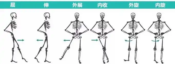 6大方位12个动作全面灵活髋关节开髋效果杠杠滴