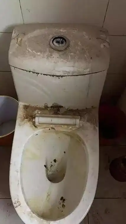 吐了租客走后房东一看疯了更令人崩溃的是