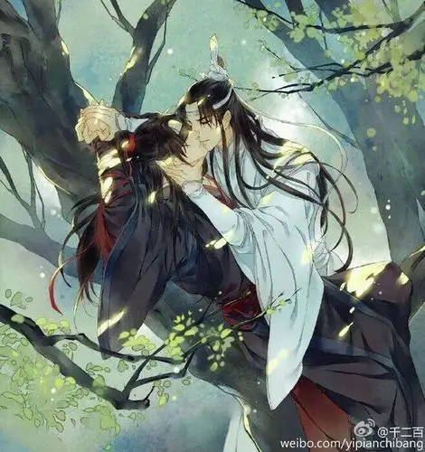 魔道祖师 忘羡
