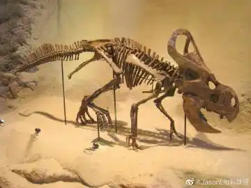 3-12 15:26 来自iphone 8