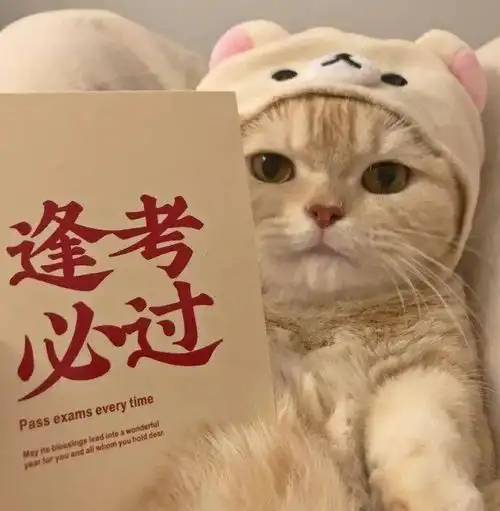 开工大吉 | 猫咪头像,这个年吃的有点多