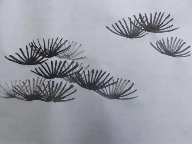 疏密相间的松树叶子单元