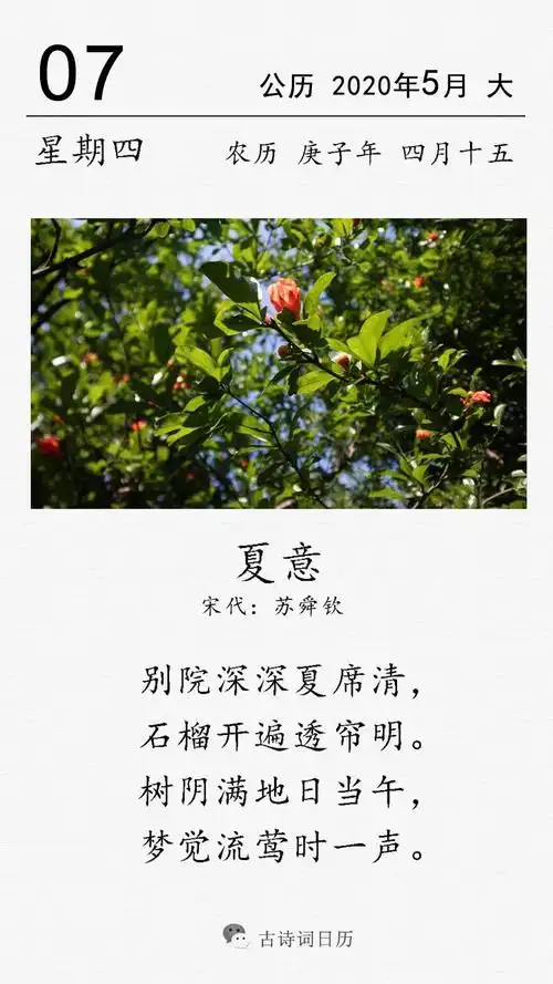古诗词日历苏舜钦夏意